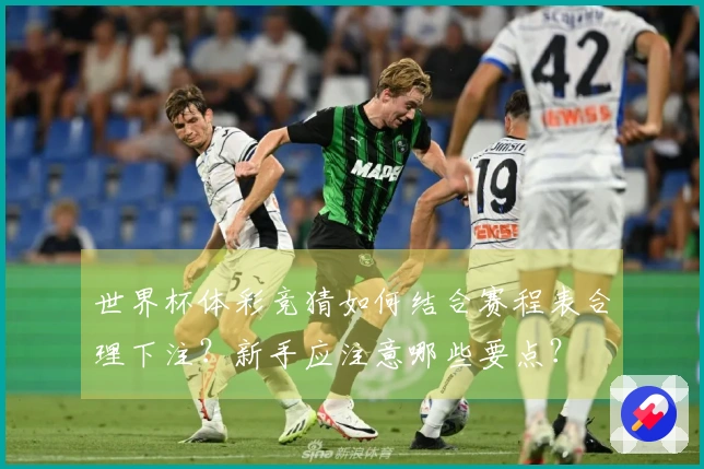 世界杯体彩竞猜如何结合赛程表合理下注？新手应注意哪些要点？