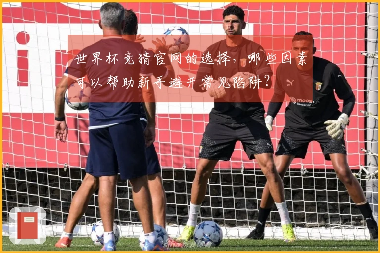 世界杯竞猜官网的选择，哪些因素可以帮助新手避开常见陷阱？