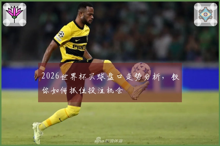 2026世界杯买球盘口走势分析，教你如何抓住投注机会
