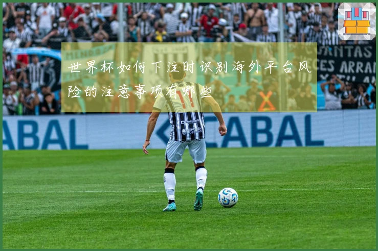 世界杯如何下注时识别海外平台风险的注意事项有哪些