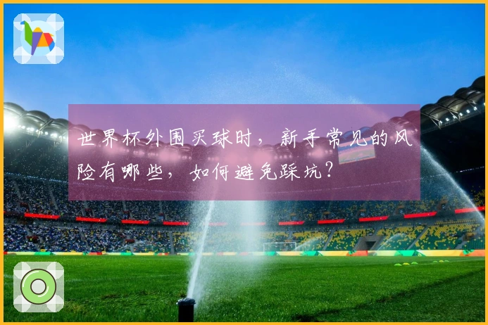 世界杯外围买球时，新手常见的风险有哪些，如何避免踩坑？