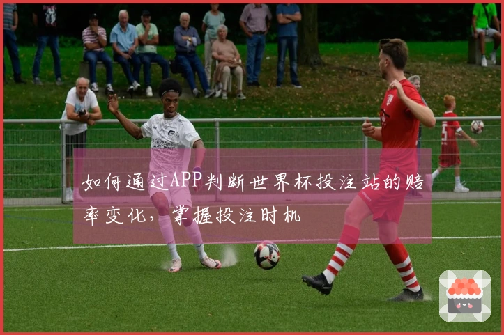 如何通过APP判断世界杯投注站的赔率变化，掌握投注时机