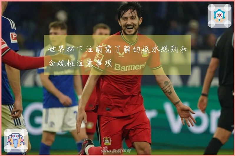 世界杯下注前需了解的返水规则和合规性注意事项
