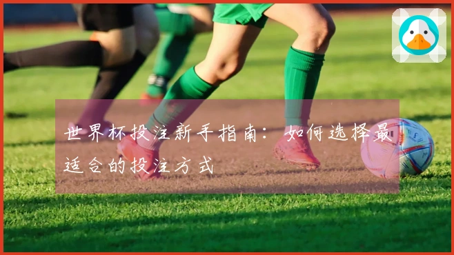 世界杯投注新手指南：如何选择最适合的投注方式