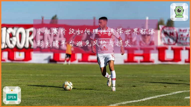 小组赛阶段如何理性选择世界杯体彩竞猜平台避免风险与损失