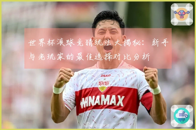 世界杯滚球竞猜玩法大揭秘：新手与老玩家的最佳选择对比分析