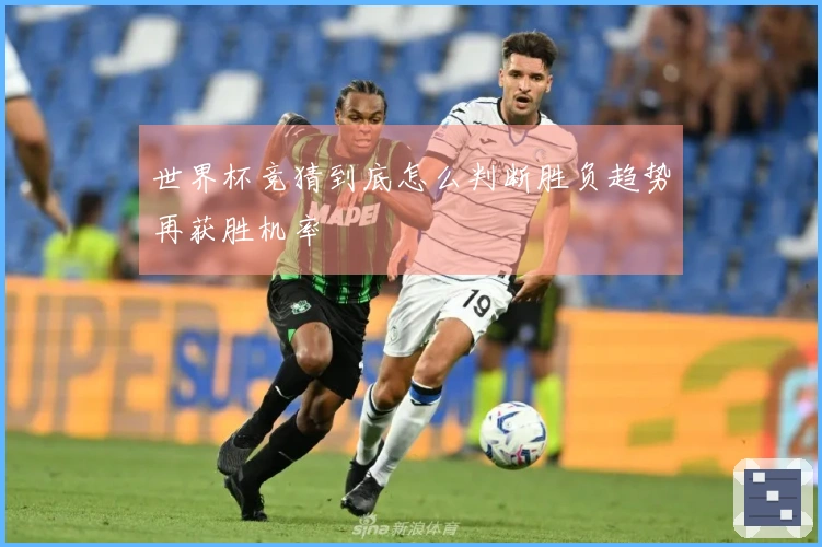 世界杯竞猜到底怎么判断胜负趋势再获胜机率