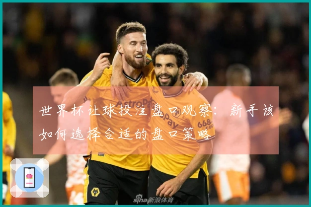 世界杯让球投注盘口观察：新手该如何选择合适的盘口策略