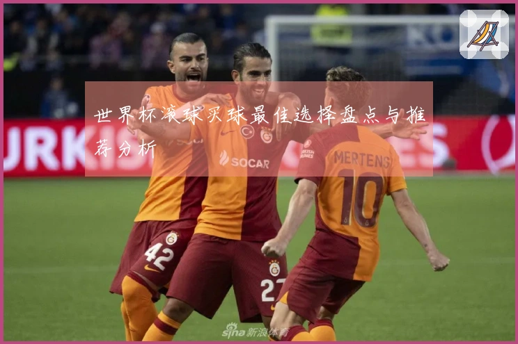 世界杯滚球买球最佳选择盘点与推荐分析