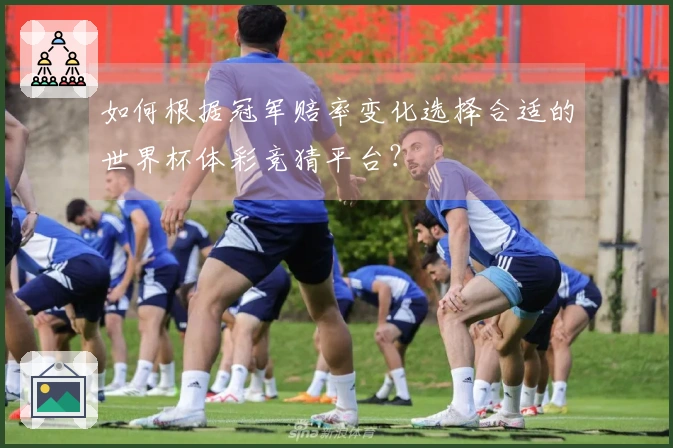 如何根据冠军赔率变化选择合适的世界杯体彩竞猜平台？