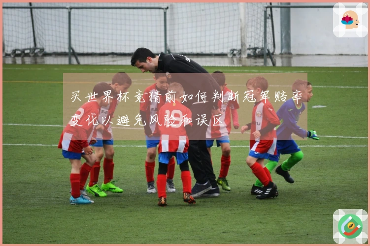 买世界杯竞猜前如何判断冠军赔率变化以避免风险和误区