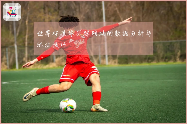 世界杯滚球买球网站的数据分析与玩法技巧