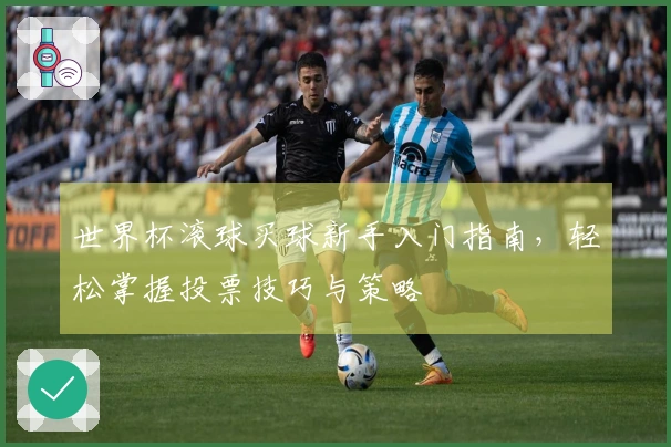 世界杯滚球买球新手入门指南,轻松掌握投票技巧与策略