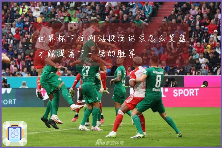 世界杯下注网站投注记录怎么复盘才能提高下一场的胜算