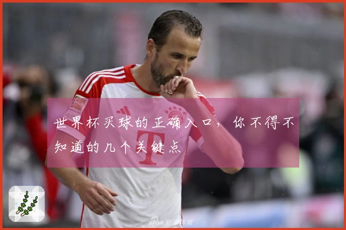 世界杯买球的正确入口，你不得不知道的几个关键点
