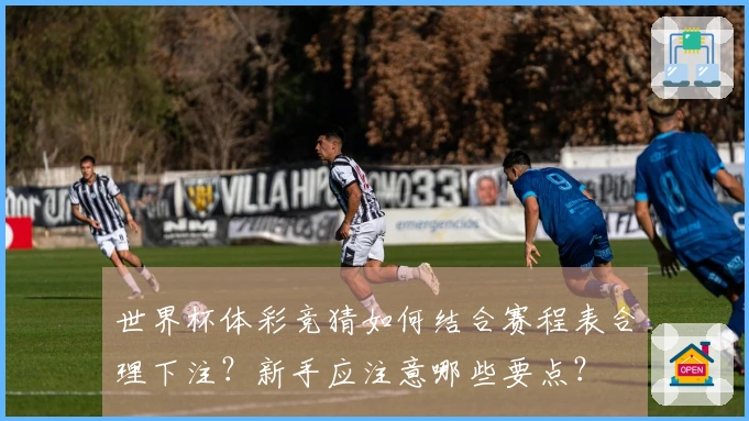 世界杯体彩竞猜如何结合赛程表合理下注？新手应注意哪些要点？
