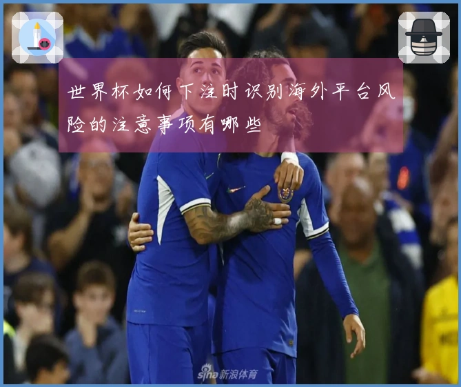 世界杯如何下注时识别海外平台风险的注意事项有哪些