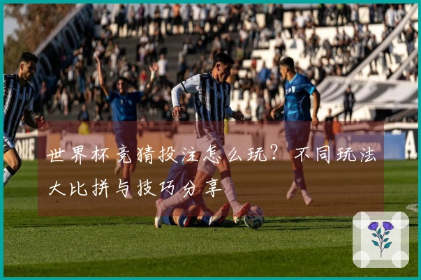 世界杯竞猜投注怎么玩？不同玩法大比拼与技巧分享