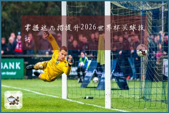掌握这几招提升2026世界杯买球技巧