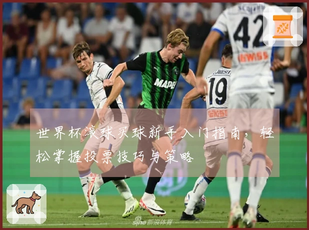 世界杯滚球买球新手入门指南，轻松掌握投票技巧与策略