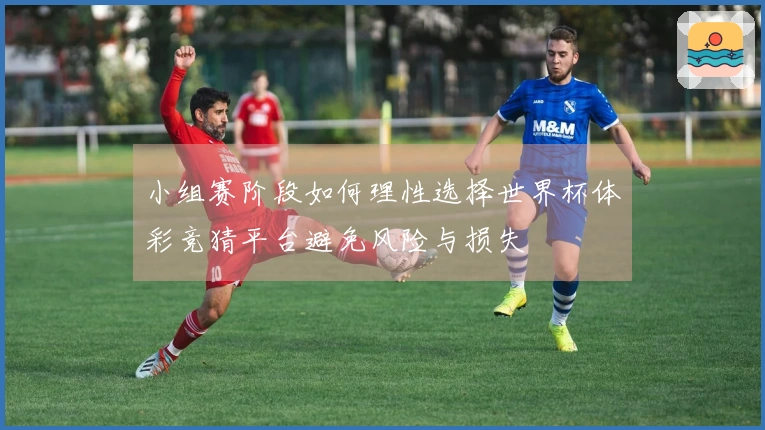 小组赛阶段如何理性选择世界杯体彩竞猜平台避免风险与损失