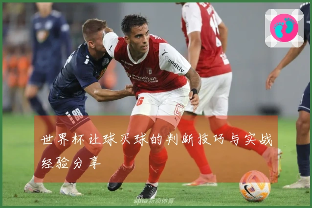 世界杯让球买球的判断技巧与实战经验分享