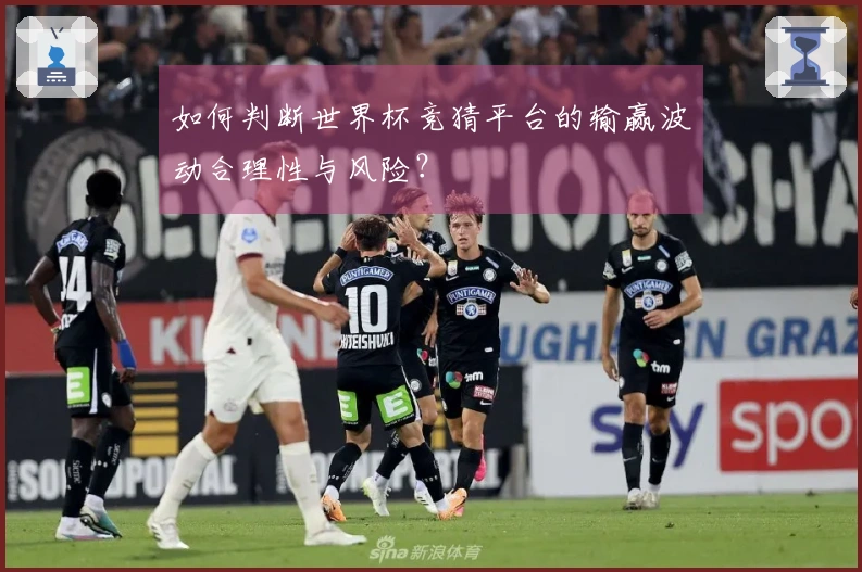 如何判断世界杯竞猜平台的输赢波动合理性与风险？