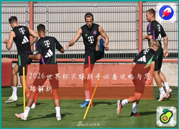 2026世界杯买球新手必看攻略与思路解析
