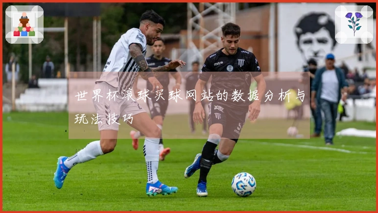 世界杯滚球买球网站的数据分析与玩法技巧