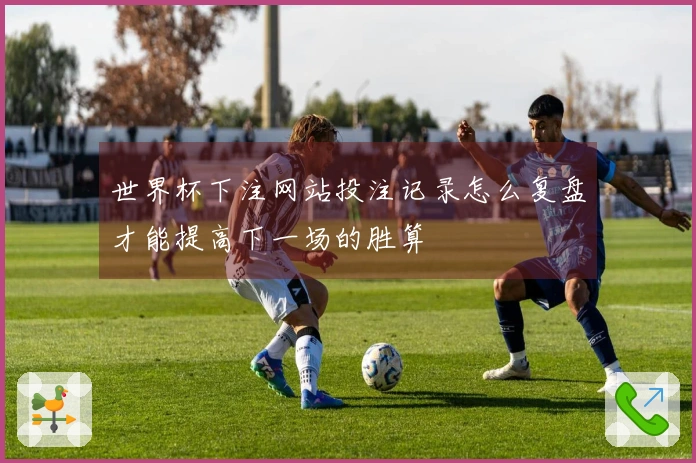 世界杯下注网站投注记录怎么复盘才能提高下一场的胜算